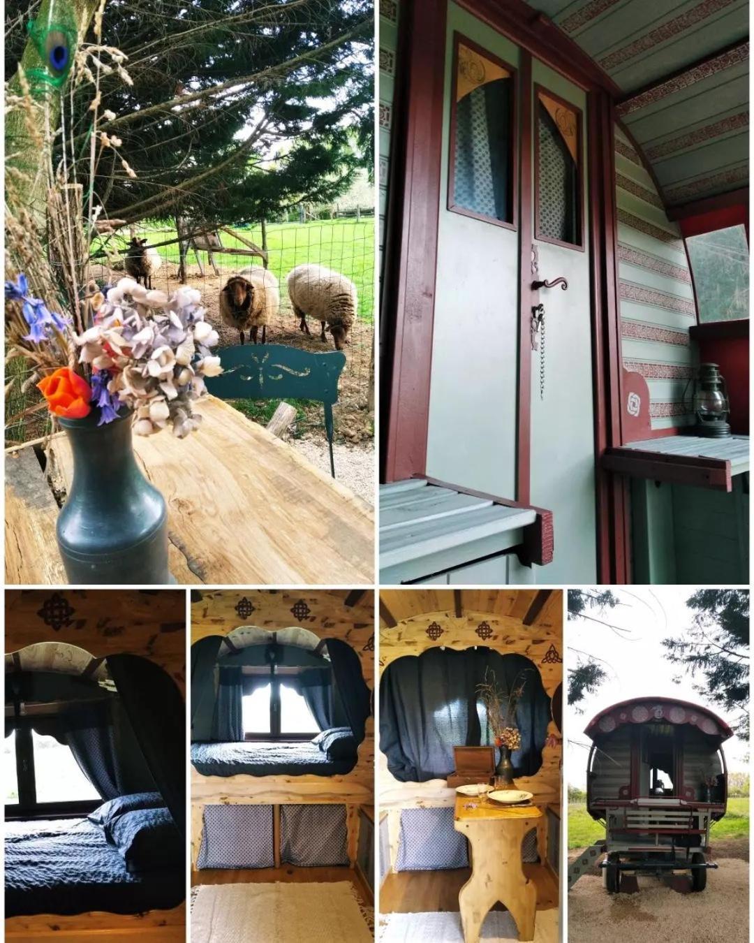 Hotel Roulotte Irlandaise Polly Saint-Vincent-en-Bresse Zewnętrze zdjęcie