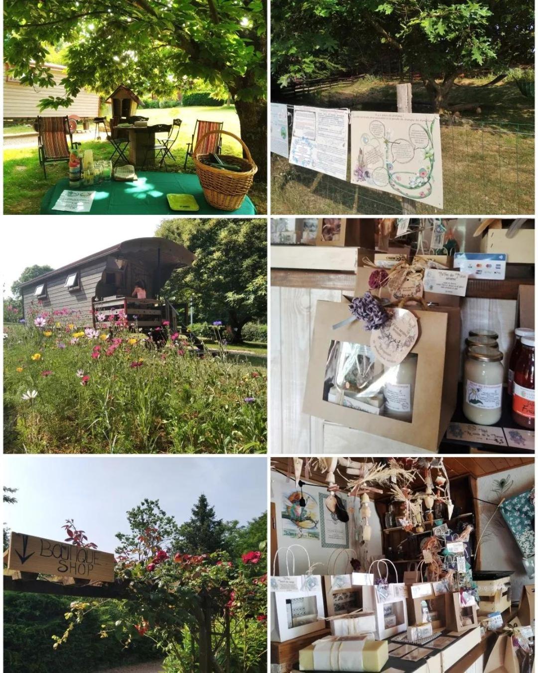 Hotel Roulotte Irlandaise Polly Saint-Vincent-en-Bresse Zewnętrze zdjęcie